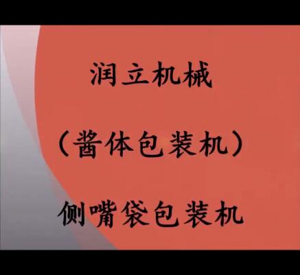 自動(dòng)醬體包裝機(jī)；帶嘴袋包裝機(jī)